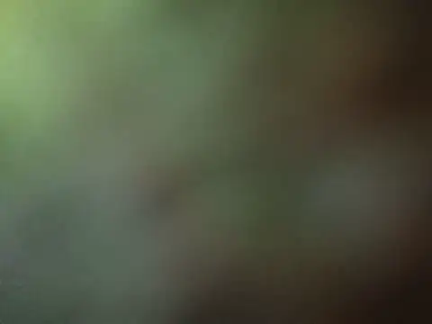 Snapshot of oraziomod02 chatting on June 9, 2026, 7:53 am oraziomod02 online show from June 9, 2026, 7:53 am