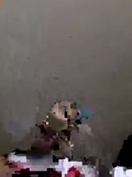 Snapshot of bikiboy chatting on June 30, 2026, 1:44 pm bikiboy online show from June 30, 2026, 1:44 pm