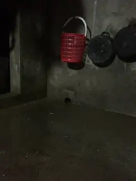 Snapshot of Nelly_sexy chatting on July 18, 2026, 12:36 pm Nelly sexy online show from July 18, 2026, 12:36 pm