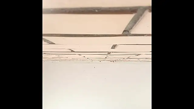 Snapshot of IronicBuckle chatting on July 2, 2026, 3:23 am IronicBuckle online show from July 2, 2026, 3:23 am