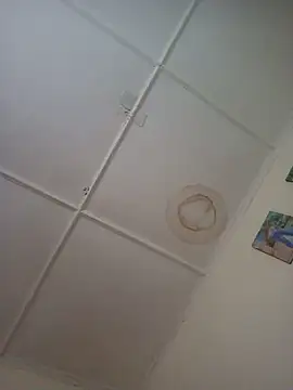 Snapshot of Cuppon001 chatting on August 4, 2026, 2:10 pm Cuppon001 online show from August 4, 2026, 2:10 pm