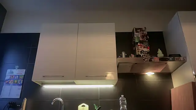 Snapshot of theitalianbear chatting on January 7, 2026, 2:55 pm theitalianbear online show from January 7, 2026, 2:55 pm