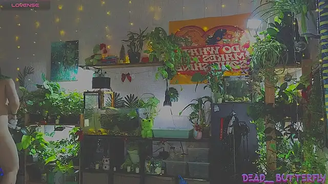 Snapshot of Dead_Butterfly chatting on January 12, 2025, 3:28 am Dead Butterfly online show from January 12, 2025, 3:28 am