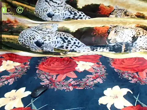 Snapshot of Queen_Sarah chatting on December 13, 2025, 8:04 pm Queen Sarah online show from December 13, 2025, 8:04 pm