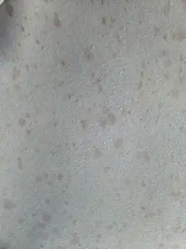 415cali925 online show from March 17, 2026, 6:55 pm