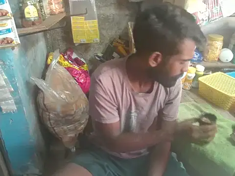 FriskyGender online show from November 7, 2025, 3:33 am