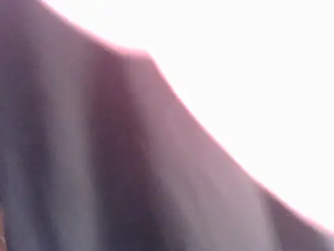 Snapshot of sissyvee chatting on June 18, 2026, 12:43 pm sissyvee online show from June 18, 2026, 12:43 pm