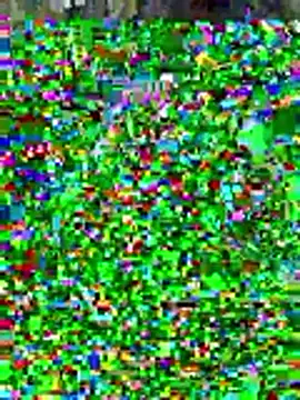 Snapshot of sissyvee chatting on January 15, 2026, 5:00 am sissyvee online show from January 15, 2026, 5:00 am