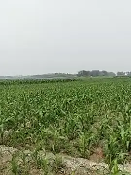 ThethunderPo online show from February 26, 2025, 6:30 am