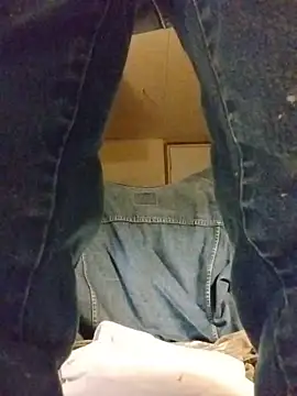 Snapshot of ROBERT0516 chatting on November 20, 2025, 11:14 pm ROBERT0516 online show from November 20, 2025, 11:14 pm