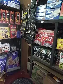 Kalani Engel online show from April 19, 2026, 5:30 am