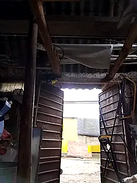 Snapshot of sarpe4 chatting on October 4, 2025, 5:20 am sarpe4 online show from October 4, 2025, 5:20 am