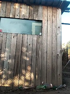 Snapshot of sarpe4 chatting on September 21, 2025, 5:12 am sarpe4 online show from September 21, 2025, 5:12 am