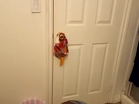 Snapshot of Tramontas chatting on October 1, 2025, 8:41 am Tramontas online show from October 1, 2025, 8:41 am