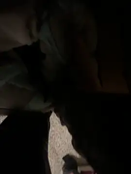 cumgitsumdic online show from December 14, 2025, 12:06 am