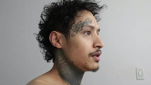 Snapshot of trieone chatting on February 20, 2025, 12:47 pm trieone online show from February 20, 2025, 12:47 pm