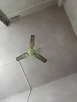 Snapshot of Dogol1990 chatting on December 15, 2025, 6:19 am Dogol1990 online show from December 15, 2025, 6:19 am