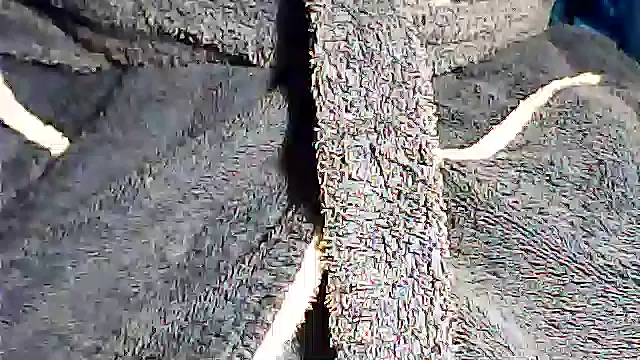 kalinixta online show from October 2, 2025, 7:28 pm