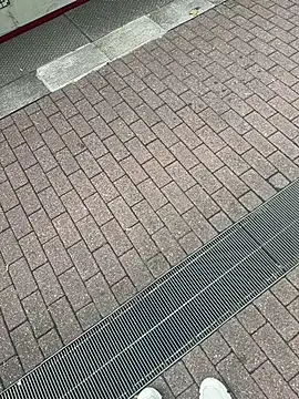 Snapshot of Lionayowe chatting on September 27, 2025, 1:17 pm Lionayowe online show from September 27, 2025, 1:17 pm