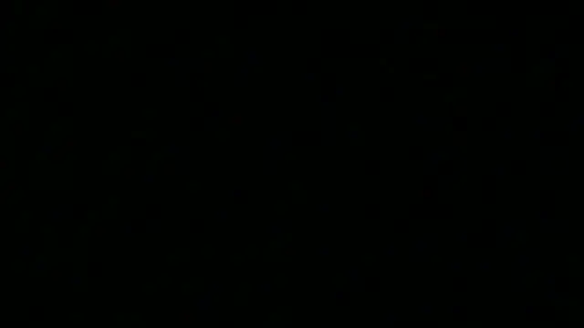 iAmNukka187 online show from January 15, 2026, 5:11 am