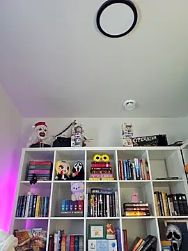 Snapshot of LilyOrion chatting on February 6, 2026, 8:05 pm LilyOrion online show from February 6, 2026, 8:05 pm