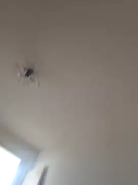 Selviboylumalyazmalim8 online show from February 7, 2026, 12:35 pm