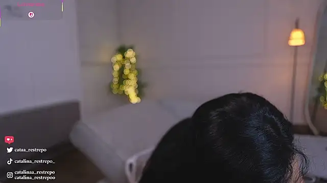 Snapshot of CATALINA_RESTREPO chatting on February 22, 2026, 1:41 am CATALINA RESTREPO online show from February 22, 2026, 1:41 am