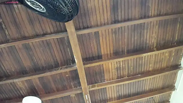 alessandra wells online show from October 28, 2025, 11:09 am