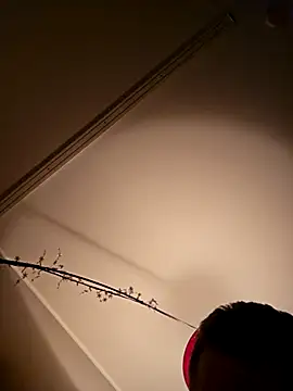 Snapshot of NiceHunter89 chatting on February 18, 2025, 5:20 pm NiceHunter89 online show from February 18, 2025, 5:20 pm