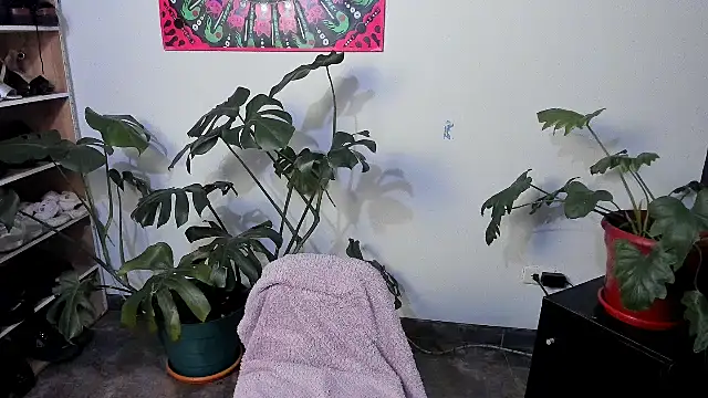 handipandapok online show from March 17, 2025, 9:24 pm