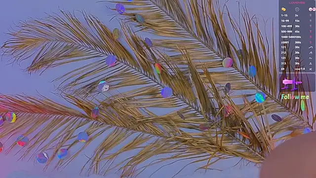 Snapshot of a11yson chatting on March 11, 2025, 11:23 am a11yson online show from March 11, 2025, 11:23 am