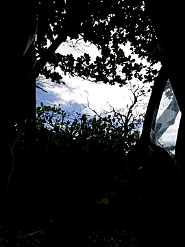 Snapshot of Luna-Natural chatting on December 21, 2025, 6:31 pm Luna-Natural online show from December 21, 2025, 6:31 pm