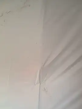 Ebony nasty girl online show from February 13, 2026, 7:30 am