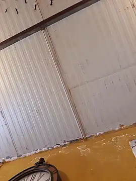 Snapshot of mila38 chatting on March 6, 2026, 8:31 am mila38 online show from March 6, 2026, 8:31 am