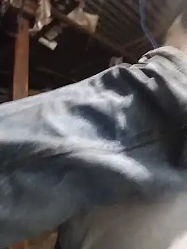 rohanhotguy online show from March 14, 2026, 2:56 pm