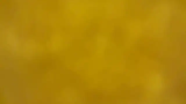 Snapshot of fmodel chatting on December 16, 2025, 2:43 pm fmodel online show from December 16, 2025, 2:43 pm