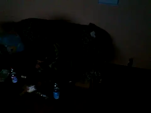 Snapshot of ZDRAVKICH chatting on December 23, 2024, 4:12 am ZDRAVKICH online show from December 23, 2024, 4:12 am