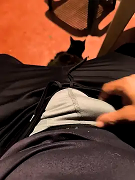 Snapshot of dickbastienweed chatting on March 27, 2026, 3:04 am dickbastienweed online show from March 27, 2026, 3:04 am