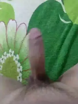 Snapshot of dickbastienweed chatting on January 30, 2025, 8:42 pm dickbastienweed online show from January 30, 2025, 8:42 pm