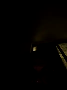 Snapshot of tropikboy chatting on November 8, 2025, 12:47 am tropikboy online show from November 8, 2025, 12:47 am