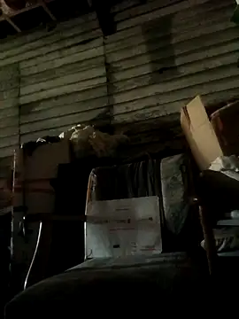 Snapshot of FUNINWV9 chatting on December 5, 2025, 1:38 am FUNINWV9 online show from December 5, 2025, 1:38 am