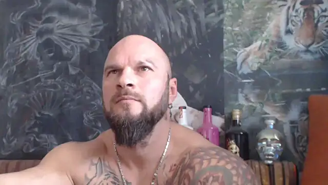 Snapshot of viking_30 chatting on November 6, 2025, 8:29 am viking 30 online show from November 6, 2025, 8:29 am