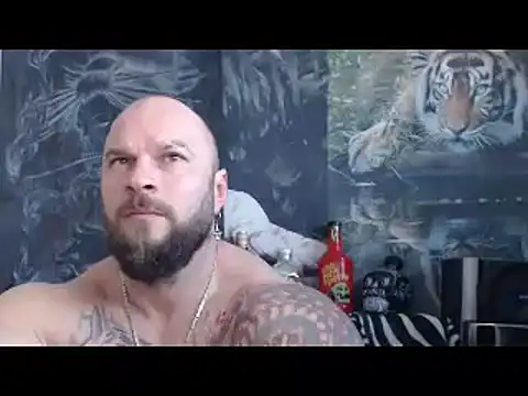 viking 30 online show from April 17, 2026, 5:32 am