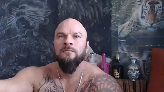 Snapshot of viking_30 chatting on November 21, 2025, 7:51 am viking 30 online show from November 21, 2025, 7:51 am