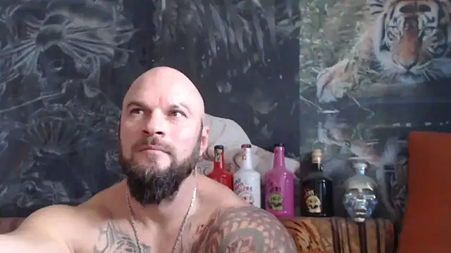 Snapshot of viking_30 chatting on November 18, 2025, 7:44 am viking 30 online show from November 18, 2025, 7:44 am