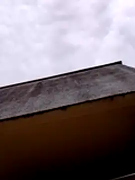 Snapshot of Codymc89 chatting on July 7, 2026, 2:31 pm Codymc89 online show from July 7, 2026, 2:31 pm