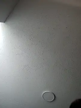 Snapshot of 6lue6a6y69 chatting on January 5, 2025, 6:13 am 6lue6a6y69 online show from January 5, 2025, 6:13 am