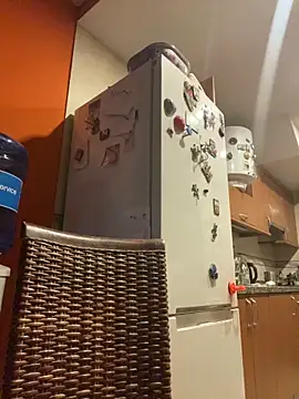 Snapshot of camelia3 chatting on October 25, 2025, 7:36 pm camelia3 online show from October 25, 2025, 7:36 pm