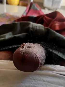 Hausa 44 online show from November 5, 2025, 2:36 am