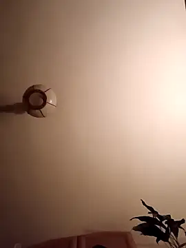 FireFox Feel online show from March 14, 2025, 2:31 am